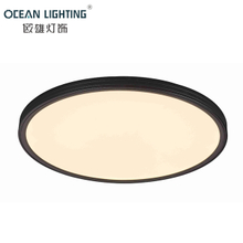 Nordic Hanging Round Aluminum Acrylic Led Modern Ceiling
