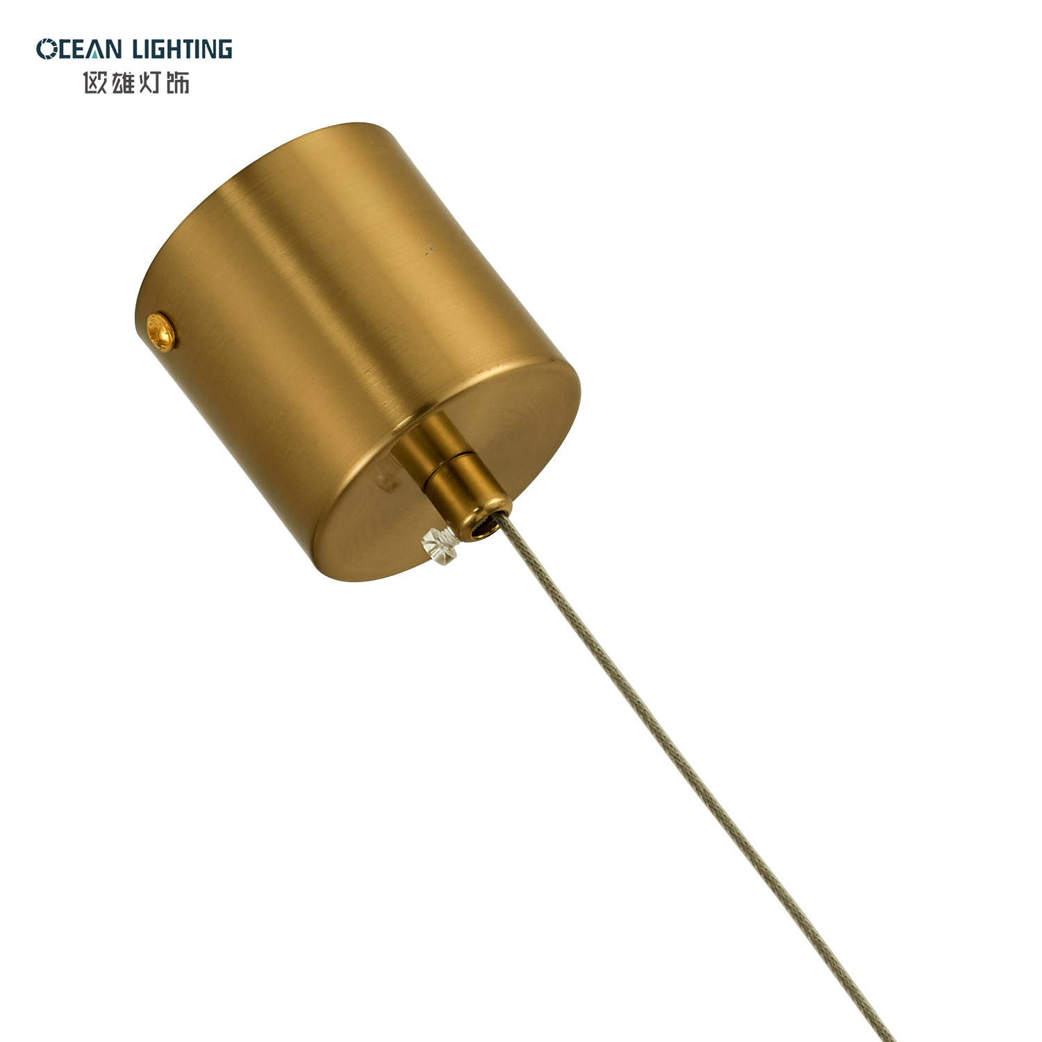 Wholesale Indoor Modern Gold LED Pendant Light for Bedroom