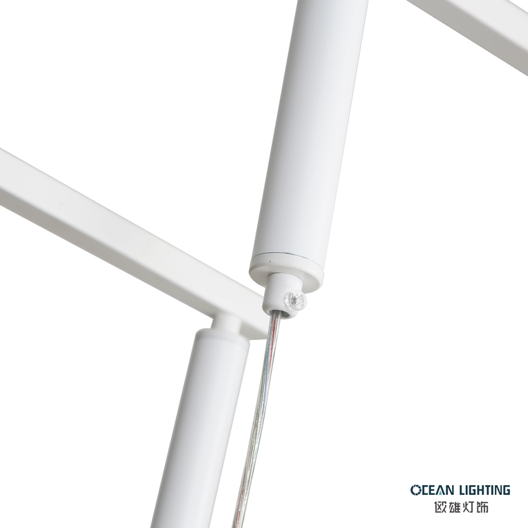 Ocean Lighting Simple Concave-convex Lens Design Pendant Lamp