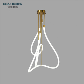 Nordic Modern Simple Ceiling Lamp Postmodern Popular Indoor lighting 60W Pendant Lamp