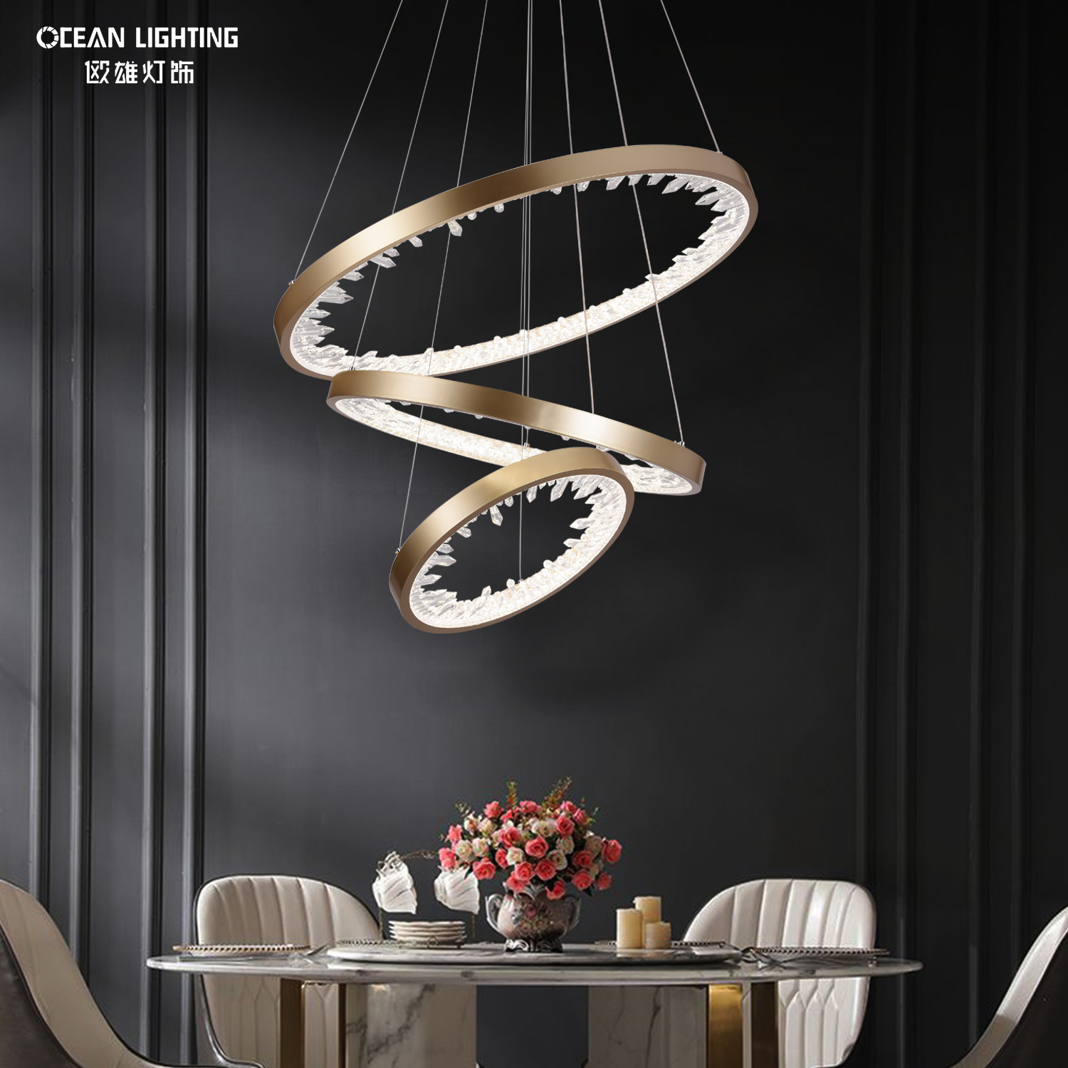 OCEAN LMAP Contemporary Minimalist Hanging Decorative Modern Design Circle Led Chandeliers